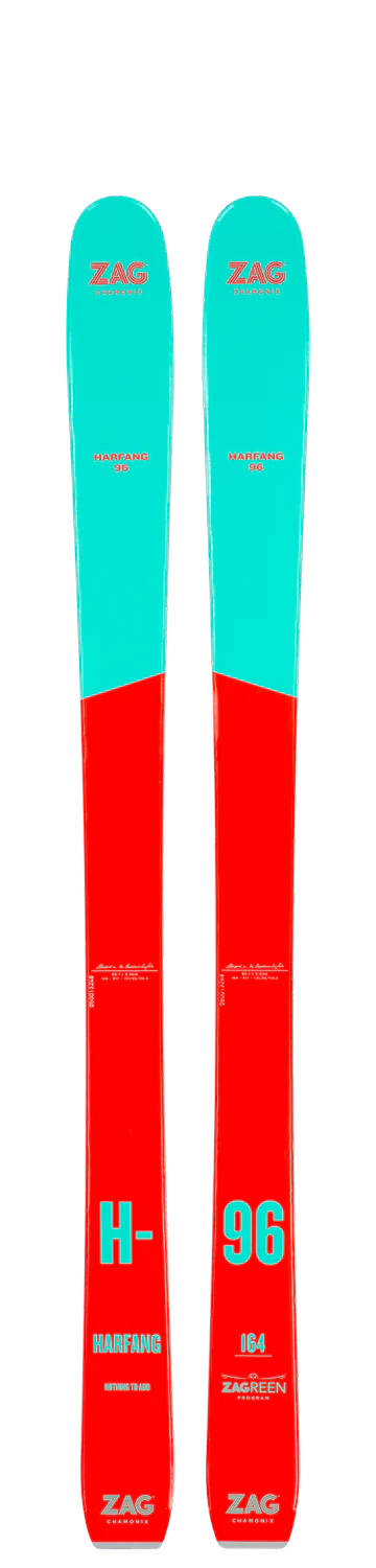 Ski de station